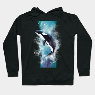 Orca Hoodie